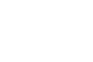 StarkandSons Tailleur Logo Costumes Homme Paris Stark&Sons